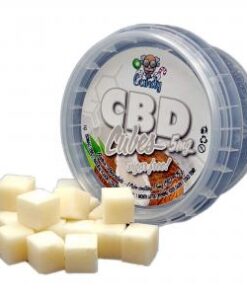 CBD-blokjes - Pina Colada