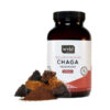 Stay Wyld Organics – Chaga Paddenstoel Poeder (100g)