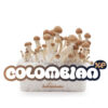 100% MYCELIUM Colombiaans - Paddenstoelen kweekset