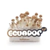 100% MYCELIUM Ecuador - Paddenstoelen kweekset