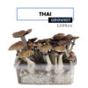 Mondo Growkit Thais Medium